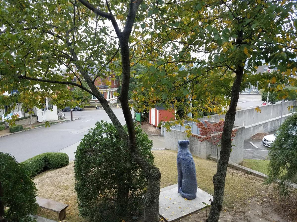 Bluff View Inn Chattanooga Kültér fotó